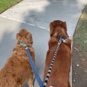 Meet your Posher, Claudia